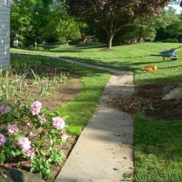 pathway in wayne