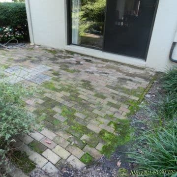 aging patio in Devon PA