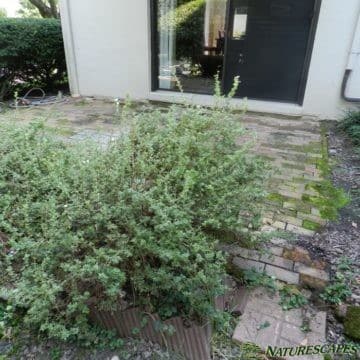 patio in Devon before landscaping work