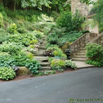 West Chester yard after landscaping