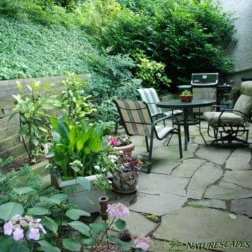 cozy backyard patio