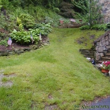 West Chester yard before landscaping