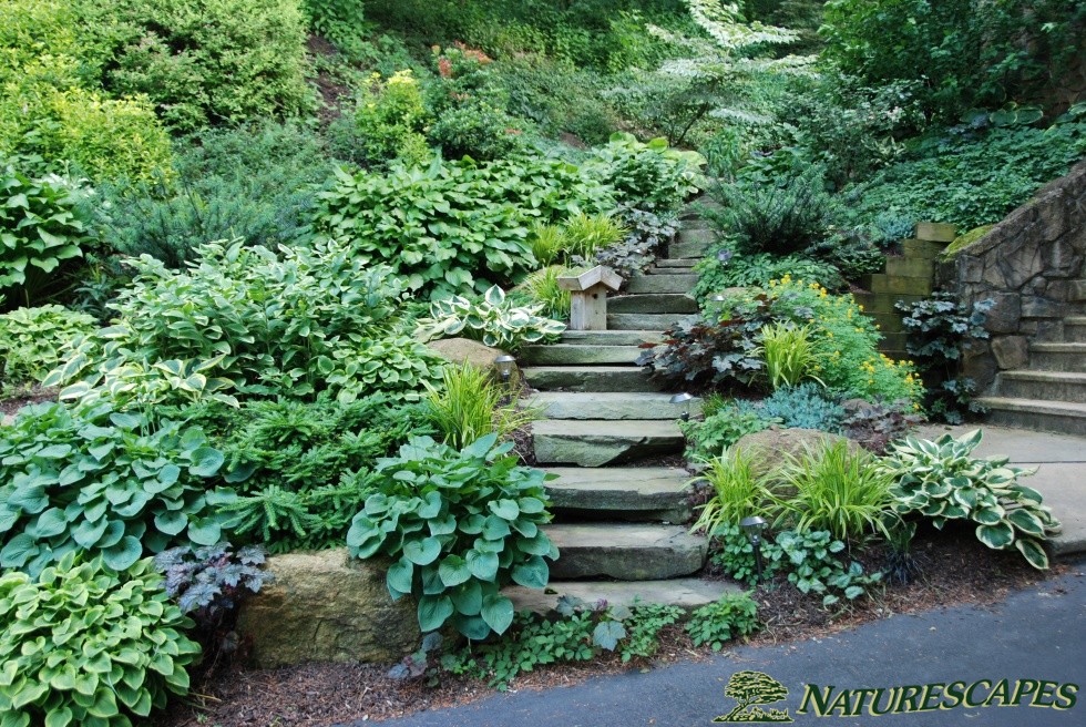 Landscape Design In West Chester Pa, West Chester Landscaping