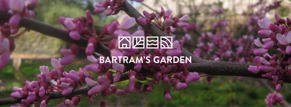 bartram's garden twilight in the garden