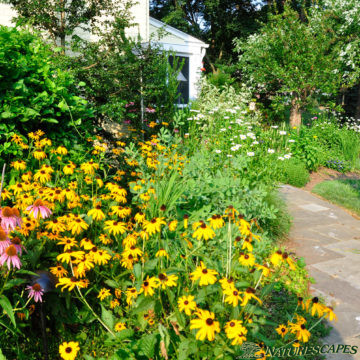 Garden in Newtown Square