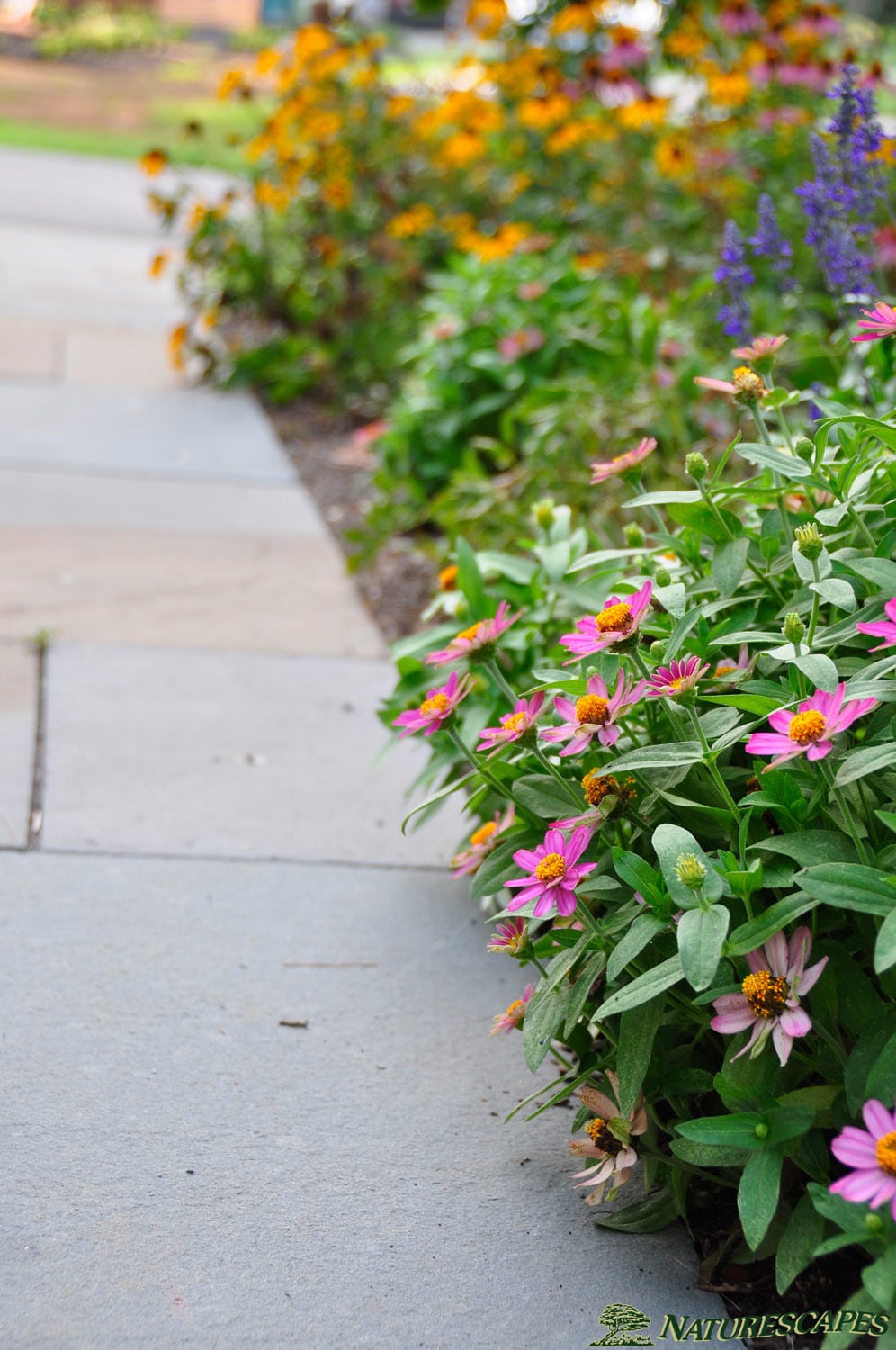 newtown square garden