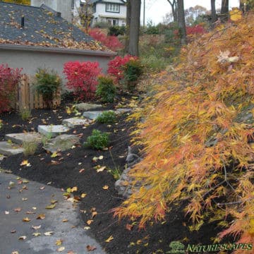 Wayne yard after landscaping