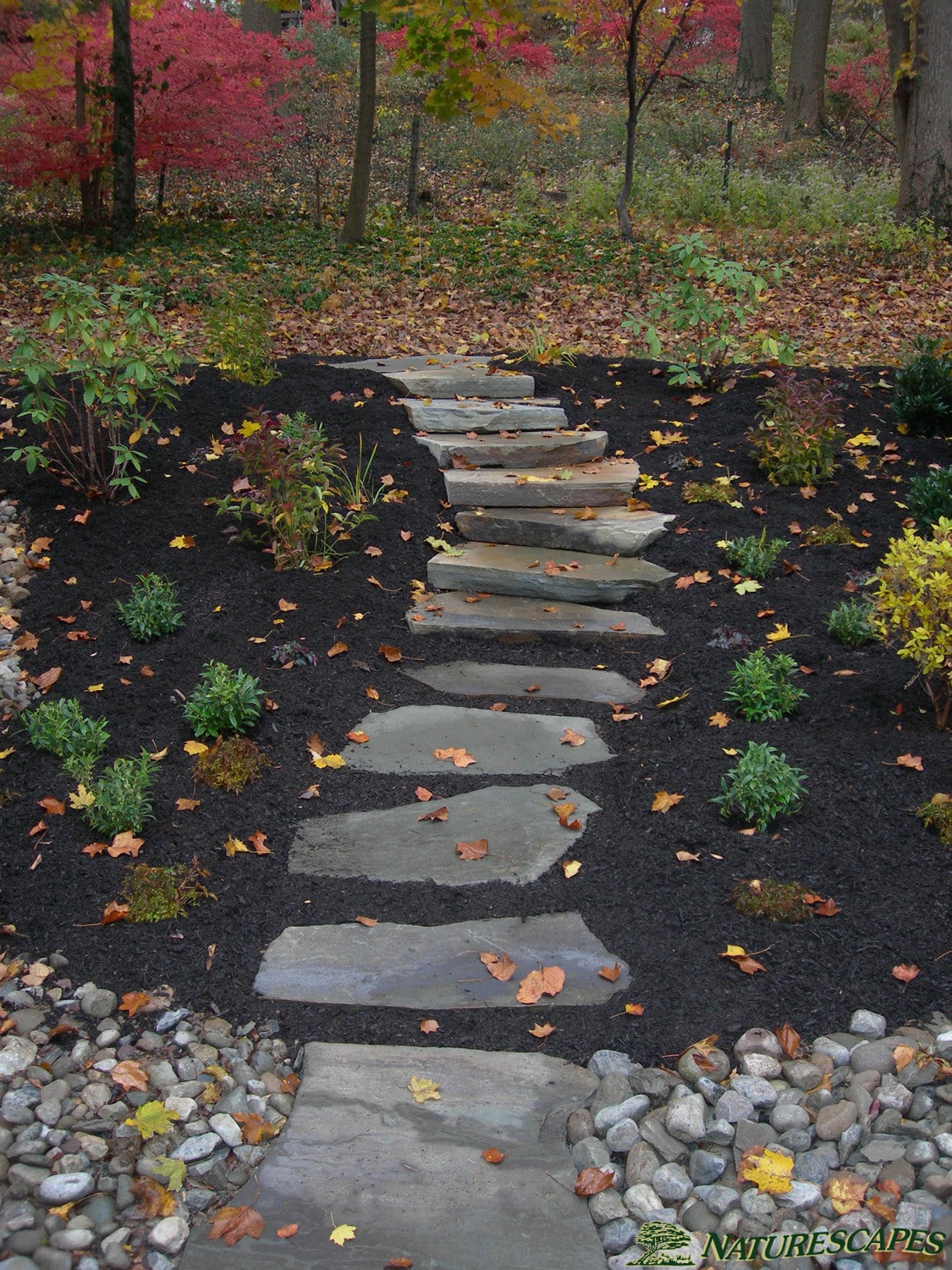 Naturescapes Landscape And Design Naturescapes Landscape And Design