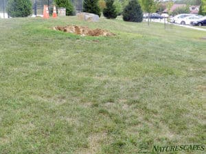 Vet Memorial Before Landscaping