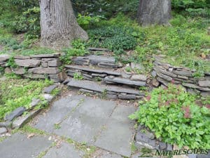 Merion Station Steps Before