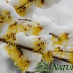 Witchhazel