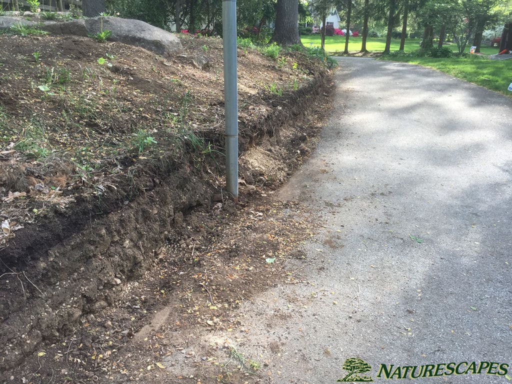 Before Install Rockery