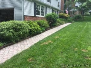 Before updating walkway to irregular flagstone