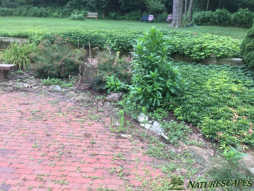 Before updating the brick patio