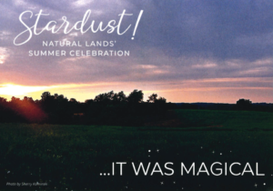 Natural Lands Celebration Card