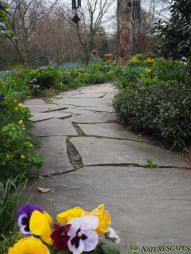 Flagstone Walkways & Pathways | Naturescapes Landscape Specialists