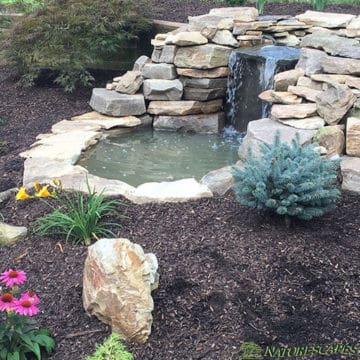 Waterfall and Garden