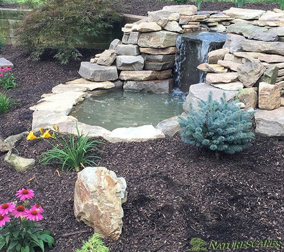 Waterfall and Garden