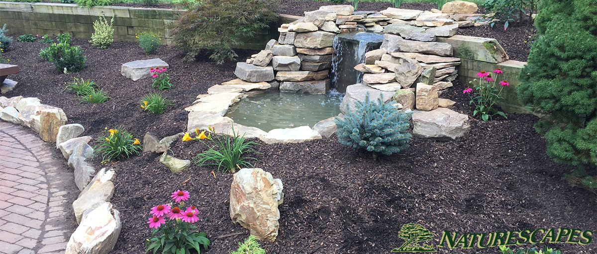 Waterfall and Garden