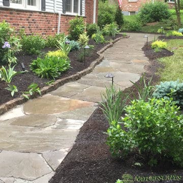 front yard pathway