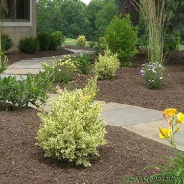 Malvern Stone Walkway