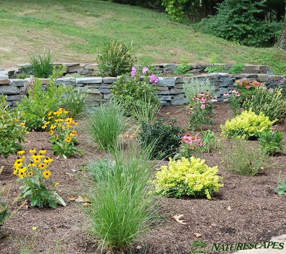 Wayne Walkway, Garden, and Retaining Wall