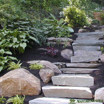 Steps and Pathway in West Chester, PA