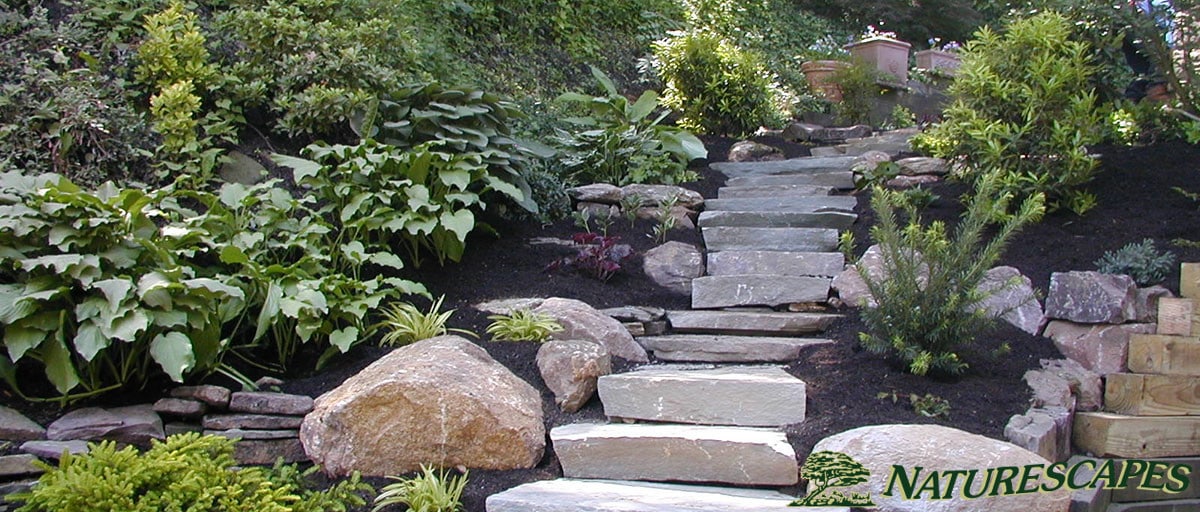 Steps and Pathway in West Chester, PA