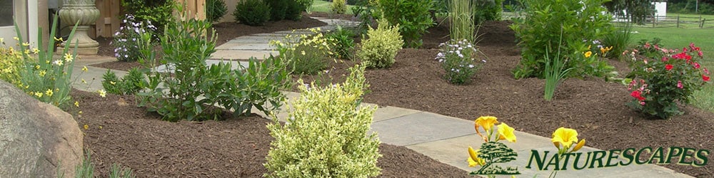 environmentally friendly garden by a landscape design company