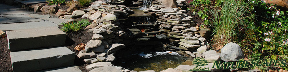 waterfall and pond in Chester Springs
