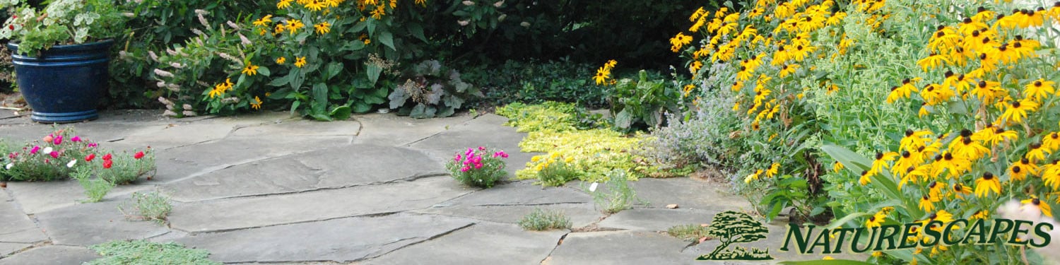 Flagstone patio installation with garden design