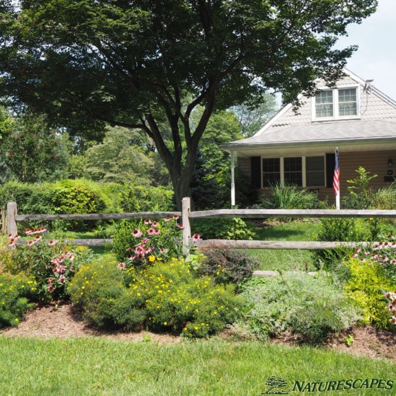 Front garden design by Naturescapes