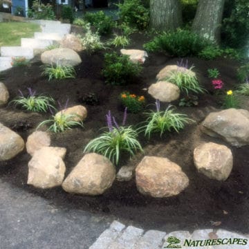 after installing the front rockery