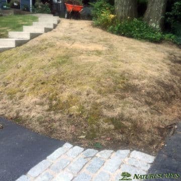 Before installing a front yard rockery