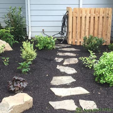 garden featuring a japanese maple