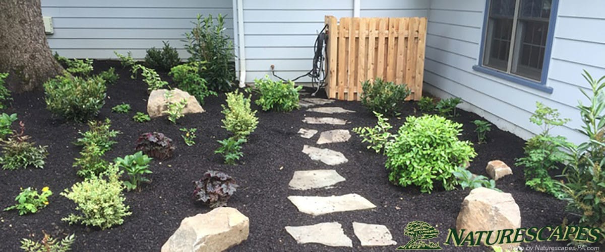 garden featuring a japanese maple