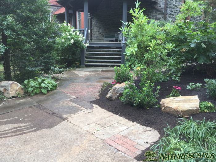 After Replacing Overgrown Garden in Bryn Mawr