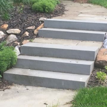 wayne stairs after update