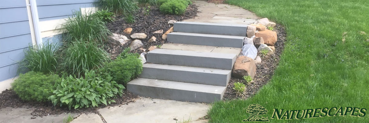 wayne stairs after update