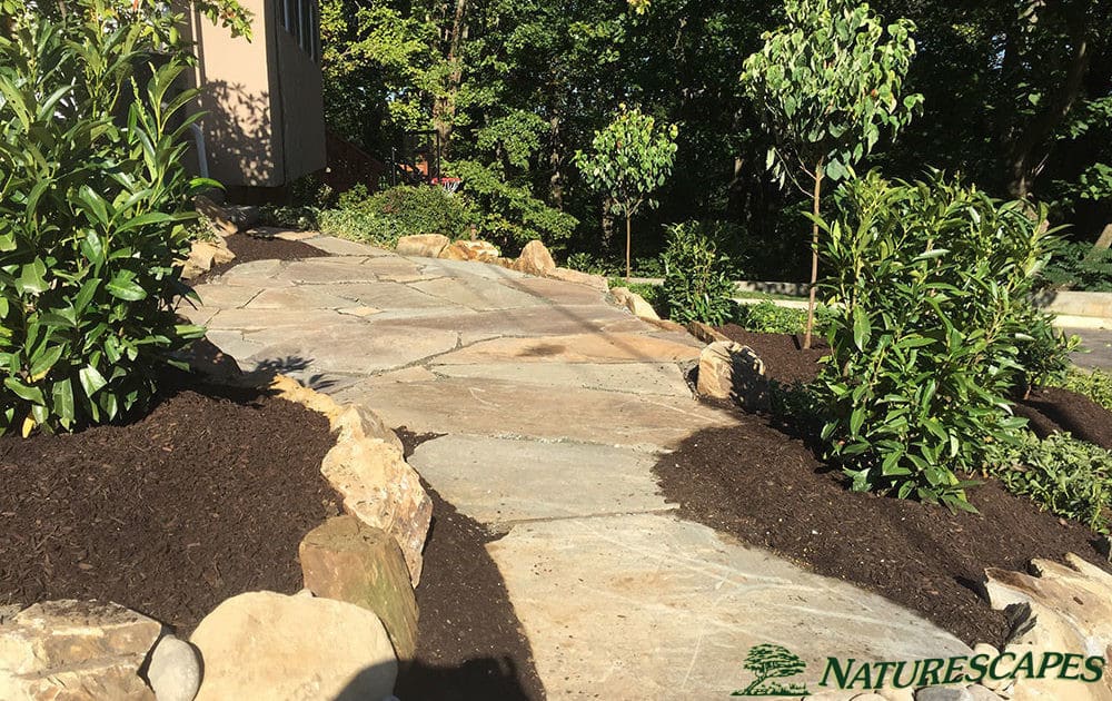 flagstone sunny pathway