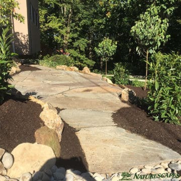 flagstone sunny pathway