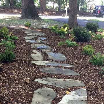 Pathway in West Goshen