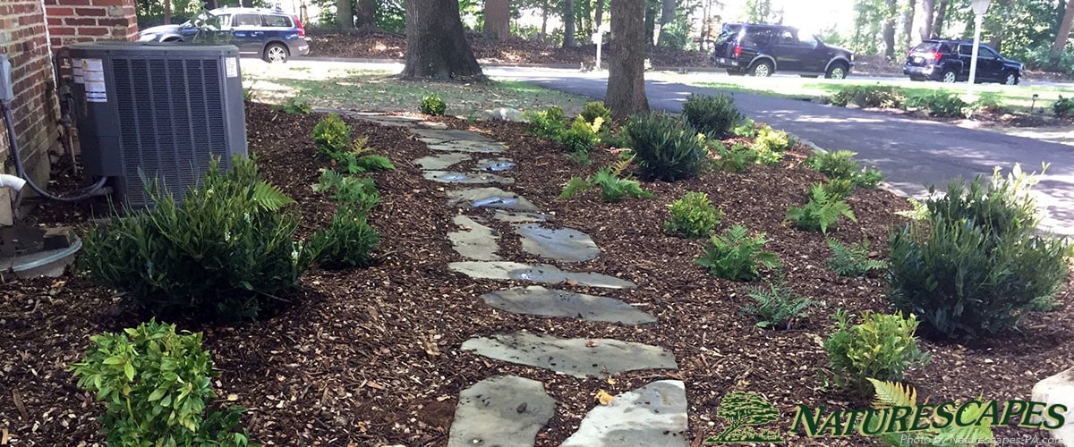 Pathway in West Goshen