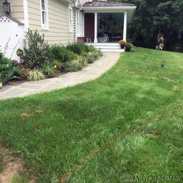 Before landscaping project in Easttown Township, PA