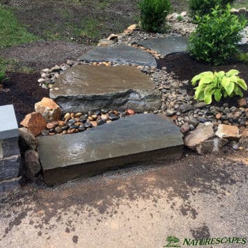 Step way/walkway to the patio from the driveway