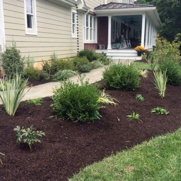 Landscaped Garden