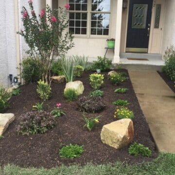 Front Garden