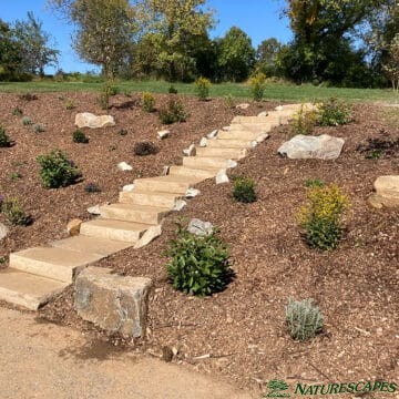 New garden in West Chester