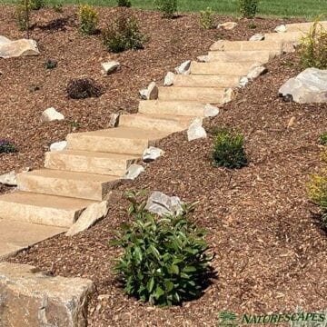 transformed grassy bank with garden and steps