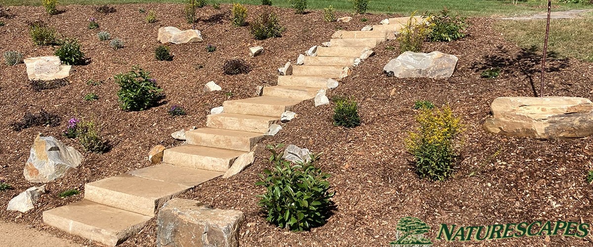 transformed grassy bank with garden and steps